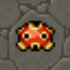 Arquivo:Shuckle shell.png