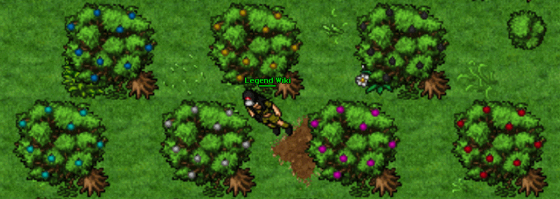 Arquivo:Árvores apricorn.gif