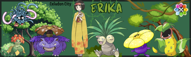 Arquivo:Erika Banner.png